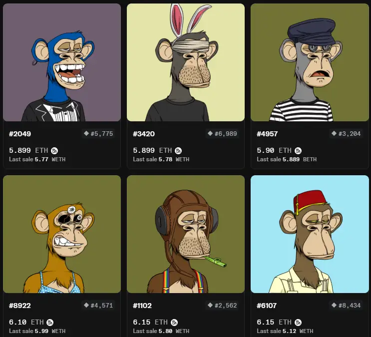 bored ape